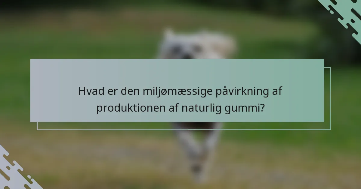 Hvad er den miljømæssige påvirkning af produktionen af naturlig gummi?