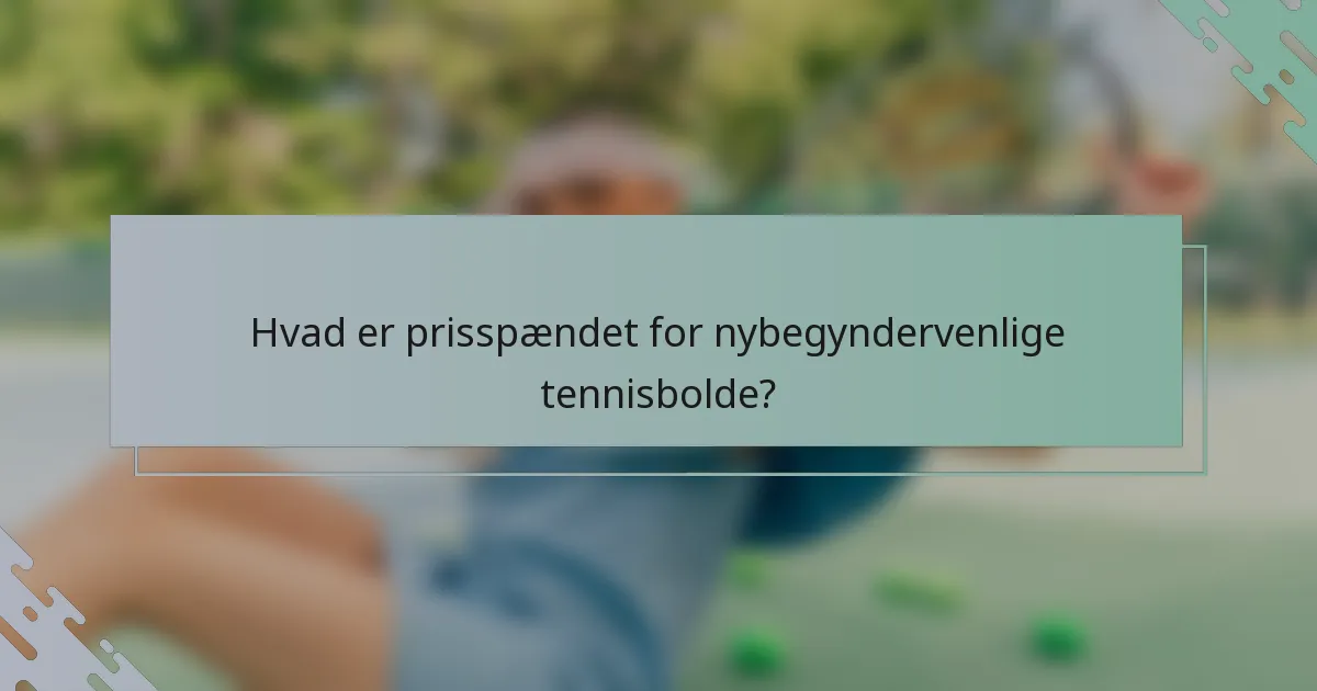 Hvad er prisspændet for nybegyndervenlige tennisbolde?