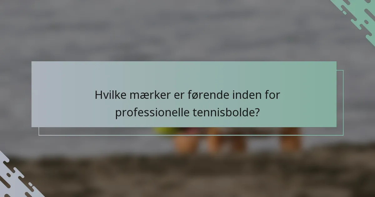 Hvilke mærker er førende inden for professionelle tennisbolde?