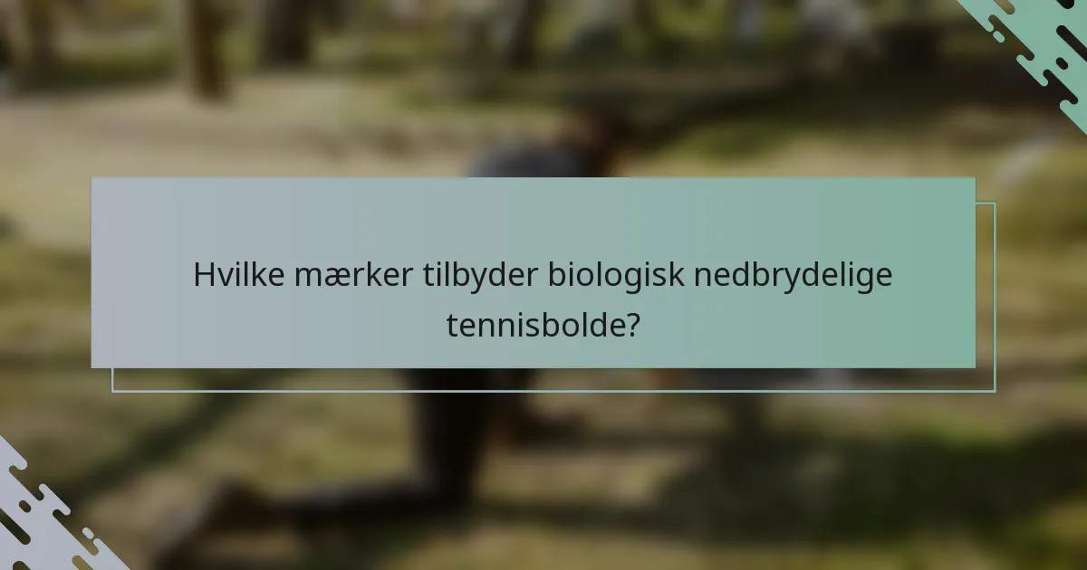 Hvilke mærker tilbyder biologisk nedbrydelige tennisbolde?