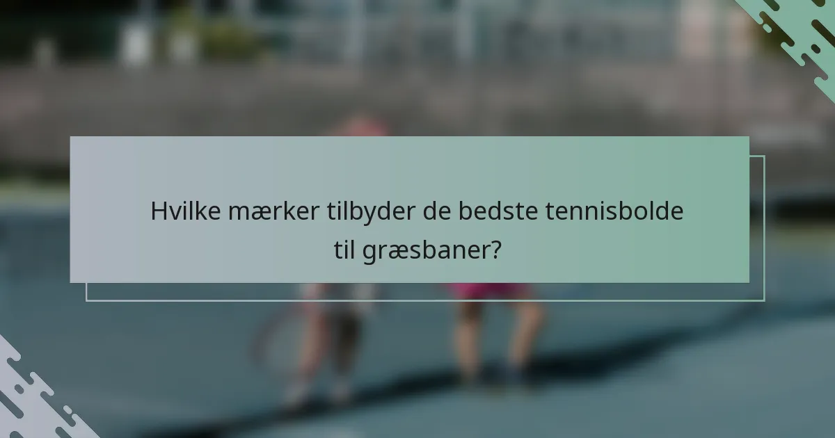 Hvilke mærker tilbyder de bedste tennisbolde til græsbaner?