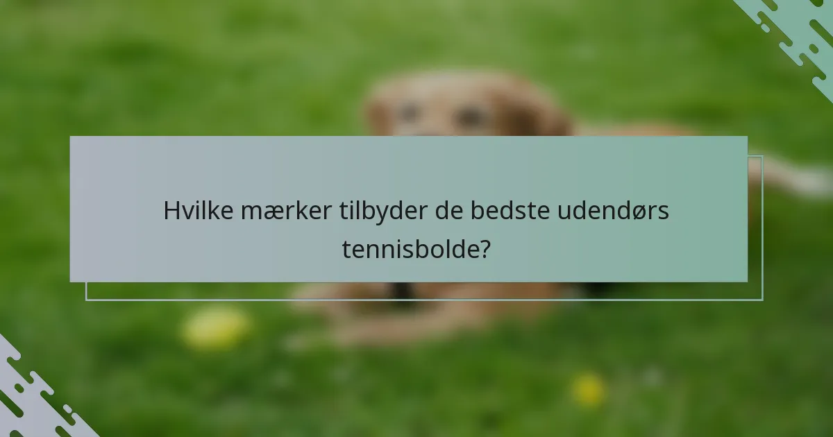 Hvilke mærker tilbyder de bedste udendørs tennisbolde?