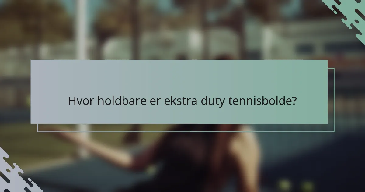 Hvor holdbare er ekstra duty tennisbolde?